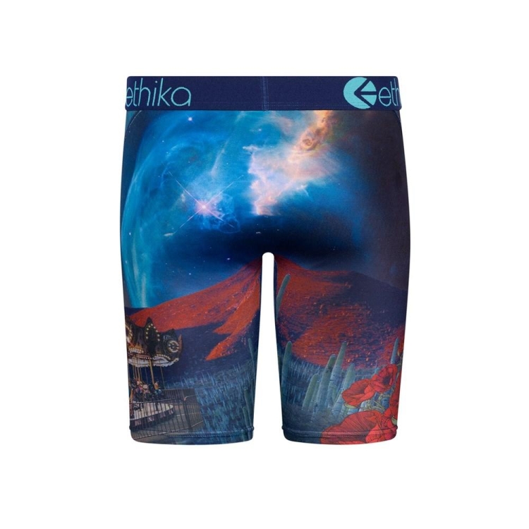 Ethika Sicko Staple Underkläder Pojke Olika Färger | CHT890347