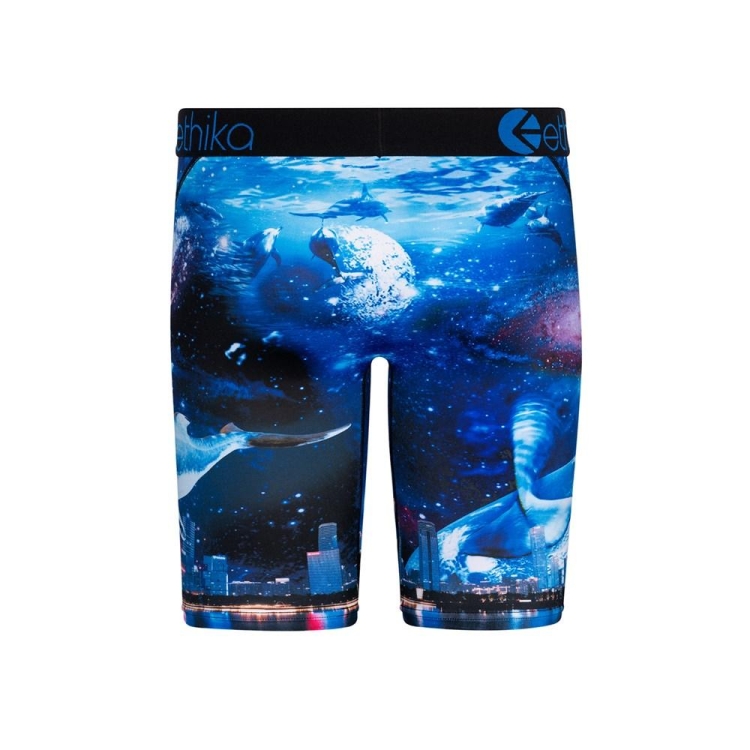 Ethika Space Whale Staple Underkläder Pojke Marinblå | OTG567321