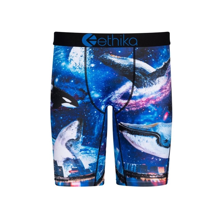 Ethika Space Whale Staple Underkläder Pojke Marinblå | OTG567321