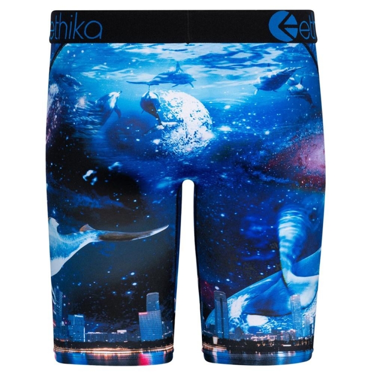 Ethika Space Whale Staple Underwear Herr Marinblå | GYQ107264