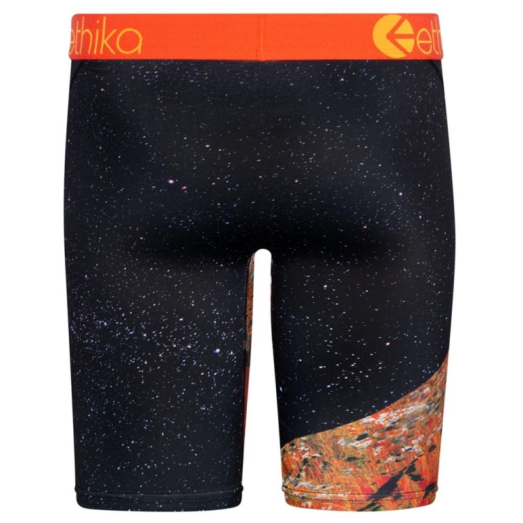 Ethika Superbloom Staple Underwear Herr Svarta | NBE673059