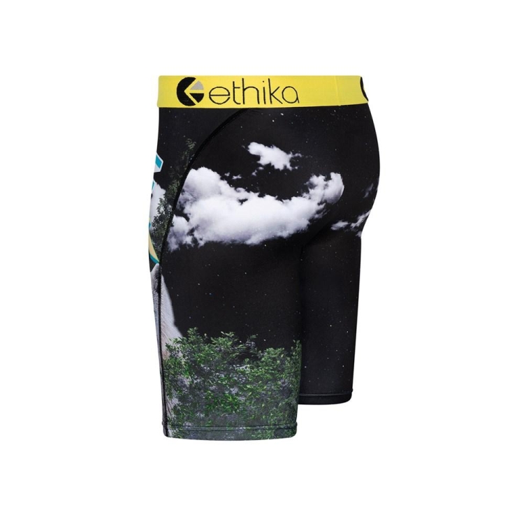 Ethika The Wolf Pack Staple Underkläder Pojke Olika Färger | GYB517698