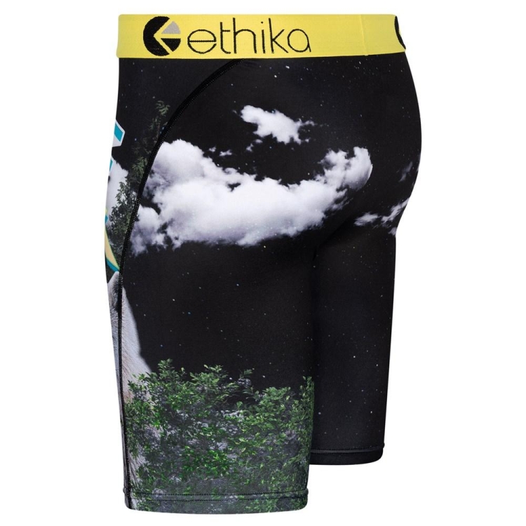 Ethika The Wolf Pack Staple Underwear Herr Svarta | FDO872415