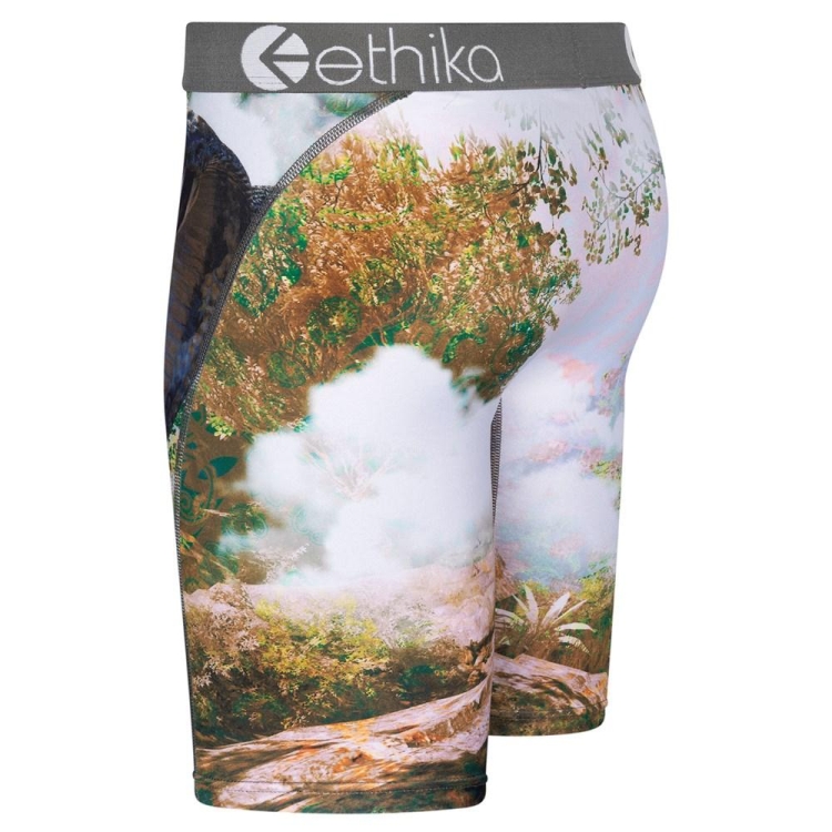 Ethika You Good? Staple Underwear Herr Olika Färger | GST875690