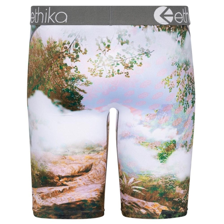 Ethika You Good? Staple Underwear Herr Olika Färger | GST875690